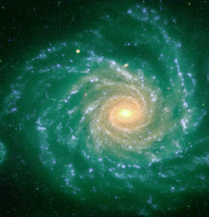 NGC 1232